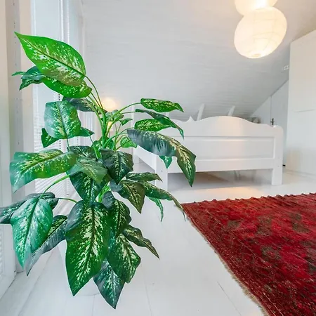 Nomme Homestay * Tallinn